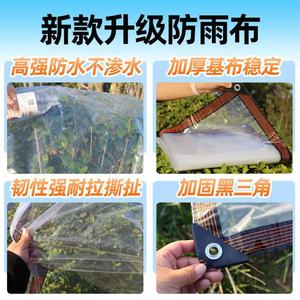 Da Hao Transparent PE Tarpaulin 2x2m Rainproof Windproof Heat Insulating Outdoor Cover - Product Image 2