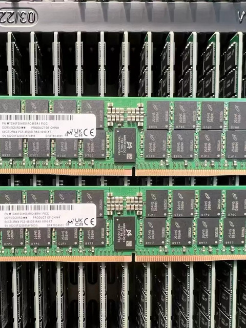 FZJY DDR5  64G 5600MHZ Server ECC Memory RDIMM for