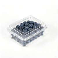 Conteneur en plastique transparent personnalisé pour fruits, emballage blister avec trous d'aération, boîte d'emballage pour fruits frais, vente en gros