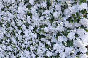 <span class=keywords><strong>Guirnalda</strong></span> <span class=keywords><strong>de</strong></span> <span class=keywords><strong>flores</strong></span>, - Product Image 5