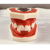 Fil de ligature et cire rouge pour modèle de pratique orthodontique - Outil de formation en compétences dentaires