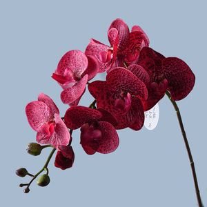 8 Cabezas de Orquídea Artificial Phalaenopsis Hidratante al Tacto, Estilo Europeo, para Decoración del Hogar y Sala de Estar - Product Image 3