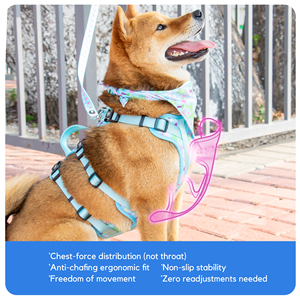 Kingspeed, nuevo chaleco verde y ecológico mejorado para perros, arnés para cachorros con estampado colorido, arnés para perros, chaleco para mascotas de Venta caliente
