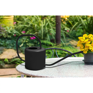 Nhà Máy bán hàng trực tiếp thép không gỉ tưới nước có thể cho vườn cây dụng cụ làm vườn với xử lý và dài Spout - Product Image 4