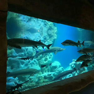 Murale d'<span class=keywords><strong>aquarium</strong></span> en acrylique, aquascape, fournisseurs d'aquariums, <span class=keywords><strong>aquarium</strong></span> en verre, mur intérieur d'<span class=keywords><strong>aquarium</strong></span> - Product Image 2