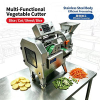 Dubbelkopige commerciële multifunctionele groentesnijder, -slicer en -shredder met 1 jaar garantie, afkomstig uit China