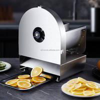 Automatische 1-9mm verstelbare aardappelchips-snijmachine, fruit- en plantainsnijmachine, 1 stuk minimale bestelhoeveelheid, geschikt voor commercieel & thuisgebruik