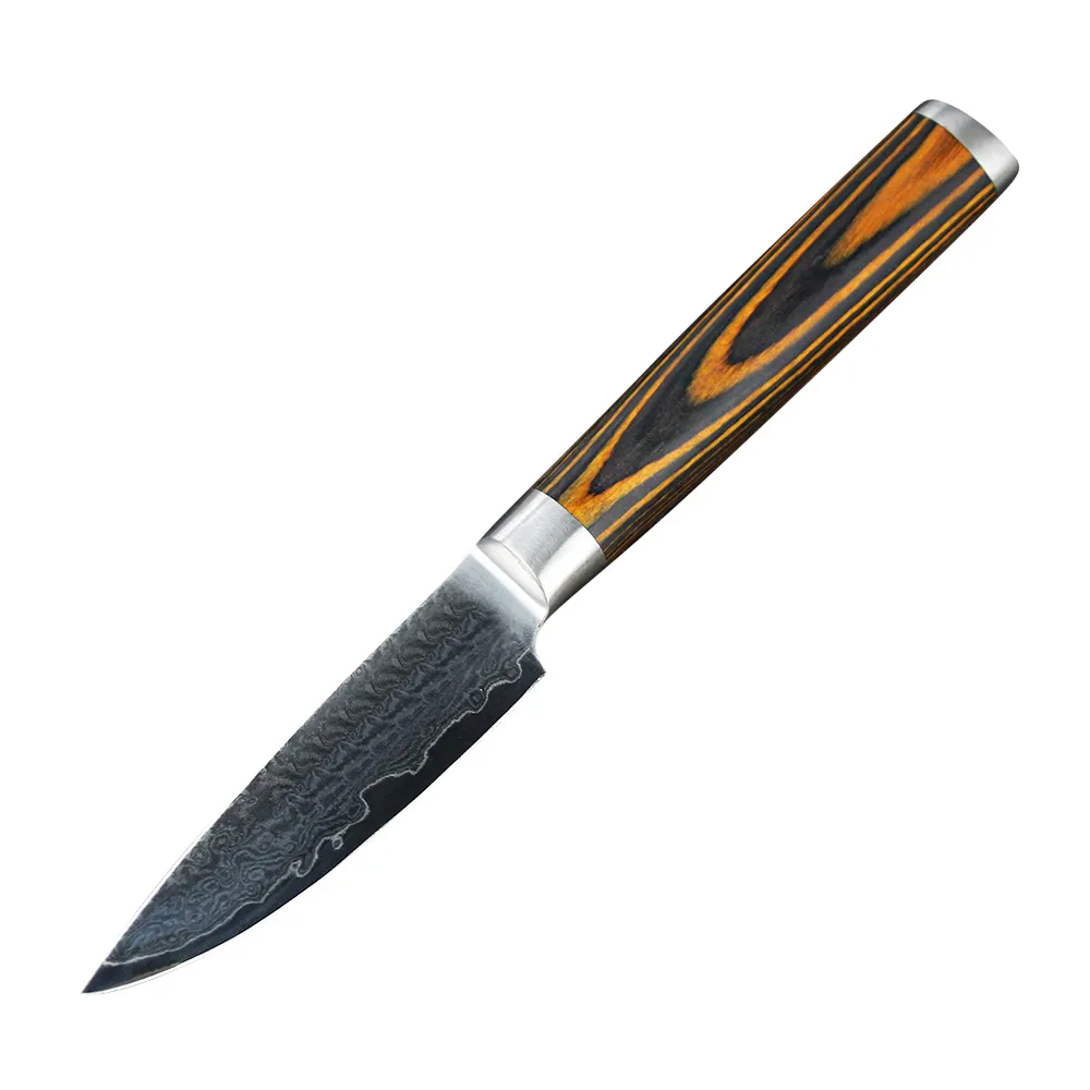 Pakka Wood Handle Japanese VG10 Damascus Paring Knife