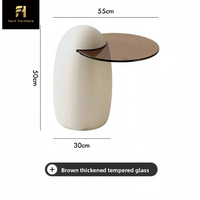 Table basse en acier inoxydable de style minimaliste nordique, forme de soucoupe volante, pingouin, table basse ronde en bois italienne pour salon, personnalisable