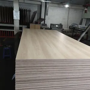 Competitive Price 3mm 6mm 9mm 12mm 15mm 18mm 25mm Okoume Bintangor Pine Birch Poplar Plywood Furniture Plywood