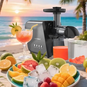 Exprimidor de Frutas de Envío Rápido en 3 Días, Máquina Extractora de Jugos, Exprimidor Lento de Presión en Frío, Exprimidor Masticador con Motor Silencioso - Product Image 1