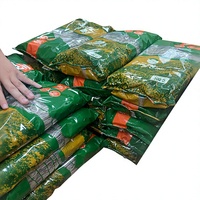 Instant Asian Healthy Gluten-Free Arrowroot Noodles 100g Export Wholesale
