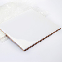 Carreaux de porcelaine personnalisés pour sublimation, carreaux de céramique vierges pour impression par sublimation