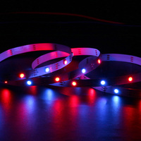Tira de Luces LED RGBW DC12V/SK6812 de 5 Metros, 30 LED/m, PCB de Cobre, 5050 SMD RGB Multicolor, Control 4 en 1