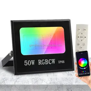 Hot Sale Manufacturer Supplier Spot Projector Lamp Smart Rgb Flood Light App Control Color Changing 16w Led Garden Flood Light