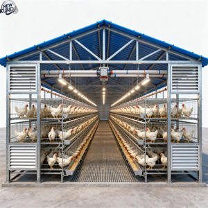 Structure en acier léger préfabriquée de conception industrielle moderne pour abri d'élevage, abri pour bovins, abri pour moutons, poulailler, gymnase, supermarché - Product Image 6