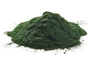 Poudre d'algues vertes biologiques Chlorella Vulgaris de qualité alimentaire, ingrédient superalimentaire naturel premium pour compléments alimentaires et smoothies - Product Image 4
