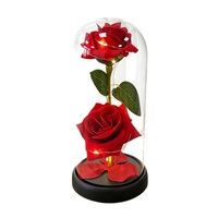 Cadeaux romantiques pour la Saint-Valentin, la remise des diplômes, les mariages, lampes décoratives à LED avec couvercle en verre pour intérieur/extérieur, ornements en forme de rose.
