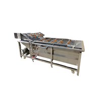 Multifunctionele automatische belletjeswasmachine voor restaurant/boerderijgebruik, geschikt voor het reinigen van fruit, groenten en zeevruchten