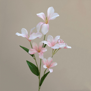 OEM personnalisé <span class=keywords><strong>de</strong></span> haute qualité <span class=keywords><strong>pas</strong></span> <span class=keywords><strong>cher</strong></span> en vrac différentes nuances <span class=keywords><strong>de</strong></span> vraies fleurs artificielles <span class=keywords><strong>de</strong></span> la série <span class=keywords><strong>rose</strong></span> - Product Image 4