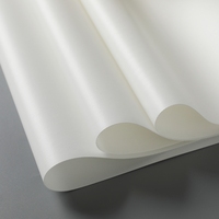 Rouleau de toile à jet d'encre en polyester grand format pour impression au latex UV pour imprimante Mimaki pour impression numérique de bannière d'affiche