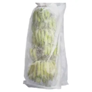 Factory Supply Anti-UV PP Spunbond Nonwoven Fruit Protection Bags For Banana Cover