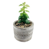 Offre Spéciale : Pots de Fleurs Décoratifs pour Bureau et Maison, Pots de Plantes Artificielles Bonsaï, Fournitures de Jardinage, Pots et Jardinières