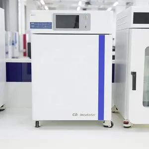 Incubadora de CO2 BIOBASE China 50l Controle de Transmissor de Temperatura e Umidade Máquina Incubadora de CO2 para Laboratório