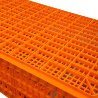 Caisses de transport de poulets de dinde en plastique de grande taille Caisses de transport de poulets de volaille Caisses de transport en plastique