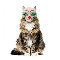 Masque de chat d'Halloween à motifs variés, jouet, maquillage, fête dansante, 25-28 cm de circonférence de tête, masque demi-visage en plastique, fournitures pour animaux de compagnie