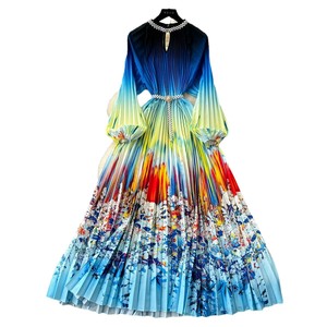 Nuovo Abito Casual da Donna Taglie Forti, Lungo, con Stampa Floreale, Maniche Lunghe, in Raso, Monopetto, Pieghettato, Stile Impero, per Primavera Autunno - Product Image 6