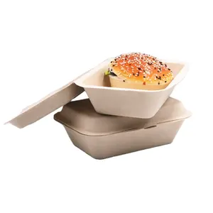 8inch disposable bagasse pulp meal takeway food packing box to go lunch biodegradable clamshell microwave sugarcane container