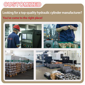 YG210H-1FA63B420 Parker Rexroth YUKEN TAIYO JUFAN Alternative Zugstange Hydraulik zylinder für die Luft-und Raumfahrt - Product Image 4