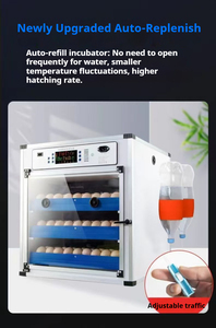 L'incubatore completamente automatico per uso domestico offre un ambiente controllato, con conseguente maggiore efficienza e tassi di successo. - Product Image 5