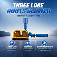 Souffleur d'air de type Roots à haut rendement volumétrique 380V 1,1kW pour l'aération des cuves de boues activées