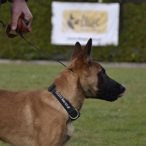 สายจูงฝึกสุนัข ไนลอน สีดำ ปรับได้ สำหรับเดินเล่นกลางแจ้งและควบคุมการกัดกรอม - Product Image 4