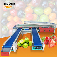 Mijn sinaasappel- en ui-sorteringsmachine, mini fruit- en groente- en meloen- en appel-sorterings- en sorteermachine