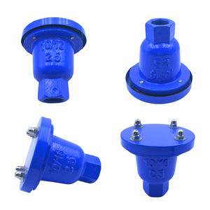 Soupape d'échappement en fonte ductile à ouverture unique pour l'eau, à commande manuelle - Product Image 2