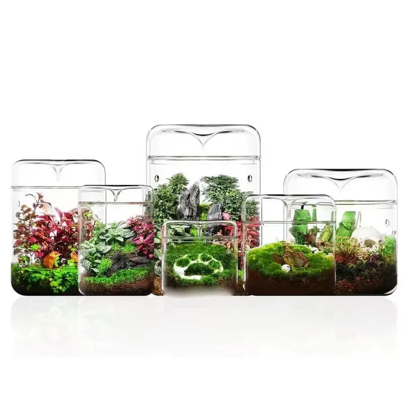 클래식 스타일 유리 기하학적 테라리움 상자 뚜껑이있는 유리 테라리움 꽃병 식물을위한 창조적 인 테라리움 화분