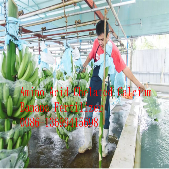 Pulverizadores Foliar & micro nutrientes para o molibdênio Chelated ácido aminado do boro do zinco do magnésio do cálcio das plantas de banana