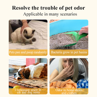 RTS American Warehouse Détachant d'urine pour animaux de compagnie Odeur Enlever Chien Chat Tapis Vomit Alimentaire Nettoyant Lingettes Nettoyantes