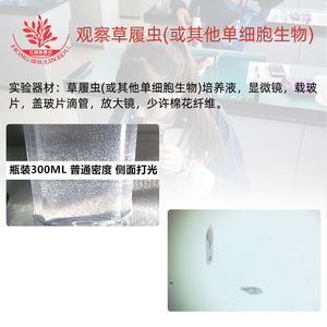 Medio de cultivo Paramecium, 500 ml por botella, de alta densidad, adecuado para experimentos de biología en escuelas secundarias, para observar organismos individuales. - Product Image 2