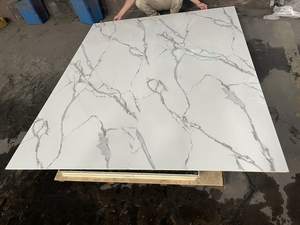 Panneau mural décoratif de 2900mm de long avec grain de pierre - Product Image 4