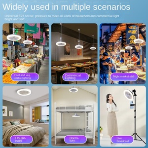 Ventilateur de plafond à moteur à courant alternatif d'intérieur moderne Source de lumière LED Corps de lampe ABS télécommandé de petite taille pour balcon de chambres à coucher de villa - Product Image 5