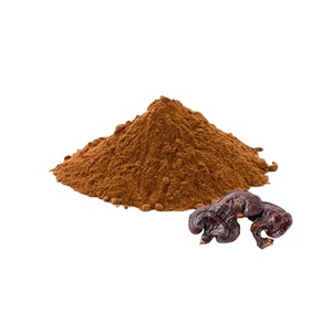 Maitake,Chaga, đông trùng hạ thảo, Ganoderma Reishi, sư tử bờm Nấm hữu cơ nấm chiết xuất bột - Product Image 3