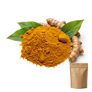 ผงขมิ้นรากธรรมชาติจากโรงงานในอินเดีย - Product Image 1