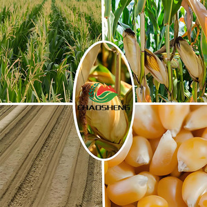 Highly effective post-emergence <strong>herbicide</strong> for cereal crops,Low use rate, highly effective at 0.7-1.0 g a.i./mu - Product Image 3