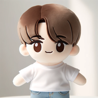 Mini poupée en peluche personnalisée Idol Kpop jouet 5cm 10cm 15cm chemise cheveux bruns poupée en peluche garçon