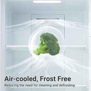 21Cuft 594L Stainless Steel Convertible Refrigerator Freezer Automatic Defrost Upright with <b>LED</b> Display - Product Image 6