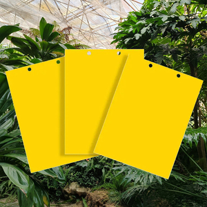 Piège collant double face jaune <span class=keywords><strong>pour</strong></span> insectes volants, vente en gros, plaque de colle anti-parasites à haute viscosité <span class=keywords><strong>pour</strong></span> la capture des mouches à fruits - Product Image 5
